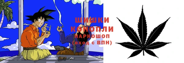 ешки Бородино