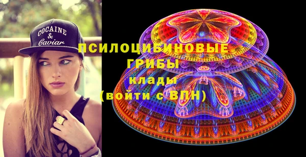 бошки Богородицк
