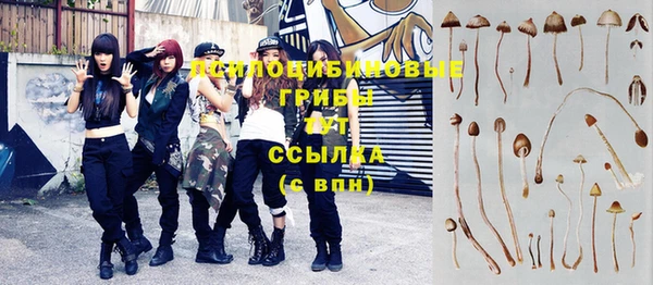 бошки Богородицк