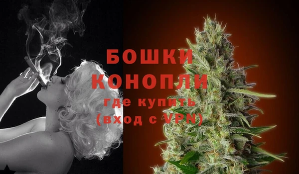 бошки Богородицк