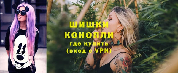 бошки Богородицк