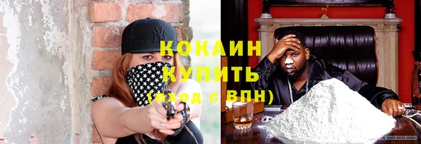 бошки Богородицк