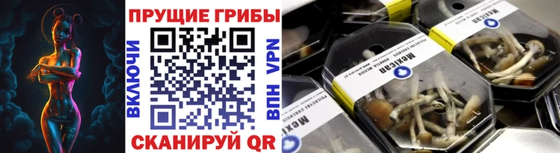 KRAKEN tor  Чухлома  Галлюциногенные грибы прущие грибы 