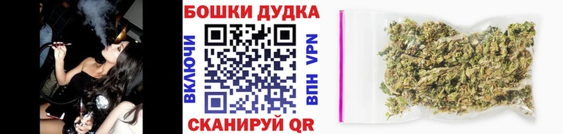 Бошки Шишки ГИДРОПОН  блэк спрут онион  Чухлома 
